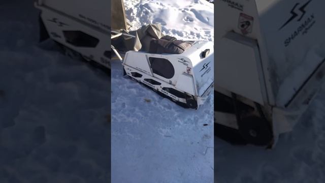 собака, мото собака, смотреть онлайн