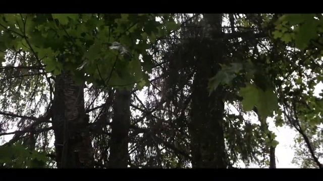 ПОЕЗДКА К ВАЛЕРЕ | БОЛОГОЕ | РЖЕВ | 2 часть | смотреть онлайн
