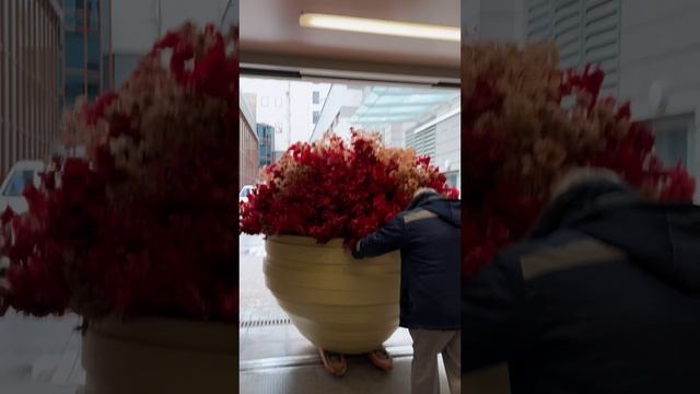 🎉 Как проходит процесс нашей работы: услуги под ключ 🌿✨