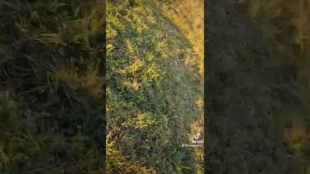 У каждого своя удочка.