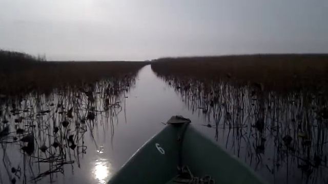 Ерек на Волге