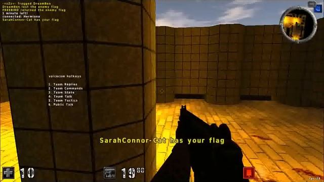 Native Linux Game : Assaultcube смотреть онлайн