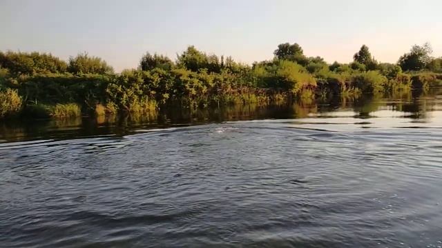 Поплыл 08.07.20