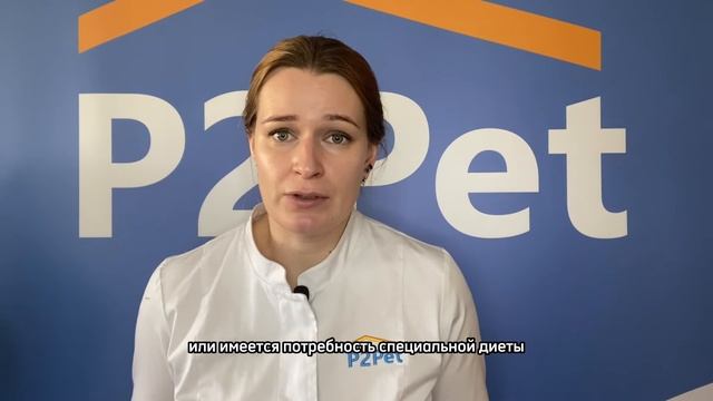 Cухой корм или «натуралка» — что лучше для питомца? смотреть онлайн