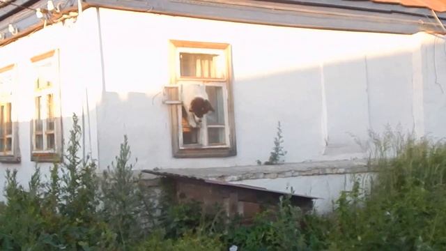 Безвыходных ситуаций не бывает смотреть онлайн