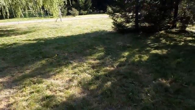 Парк Пушкина, часть 3, фонтаны, грифоны, дом белочки , телебашня) смотреть онлайн