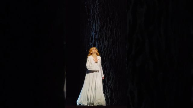 Опера "Орлеанская дева" П.И. Чайковский; Мариинский театр (28.11.2023) 23 смотреть онлайн