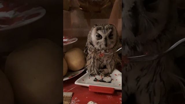 12 января 2021 г. смотреть онлайн