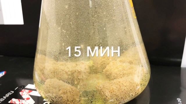 Тестируем гранулу 12мм.