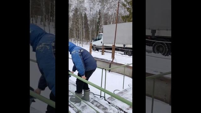 Пополнение садка новой партией форели смотреть онлайн