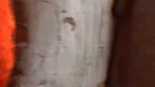 Поездка к заказчику для осмотра территории и подписание договора о строительстве деревянного дома. смотреть онлайн