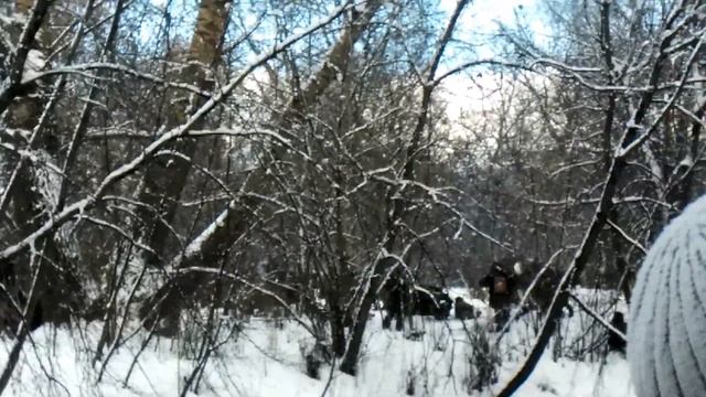 Реконструкция освобождения Познани, 1945 г. (Екатерингофский парк, СПб, 23.02.2016) смотреть онлайн