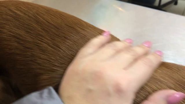 Влог/купили ЁЛКУ и лечим Джесси смотреть онлайн