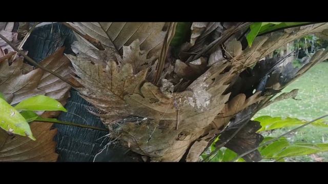 Экскурсия 12 островов часть 2 смотреть онлайн