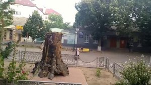 Обзорная экскурсия Херсон. Набережная Херсон. Атб Херсон. Центр Херсон.