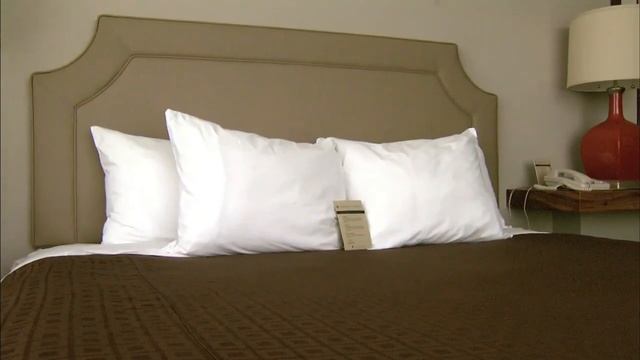 Green Hotel: The Proximity смотреть онлайн