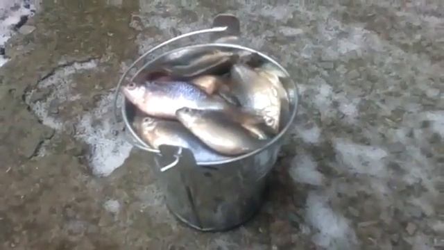 Хорошая рыбка смотреть онлайн