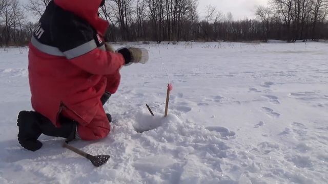 Совсем близко к трофею