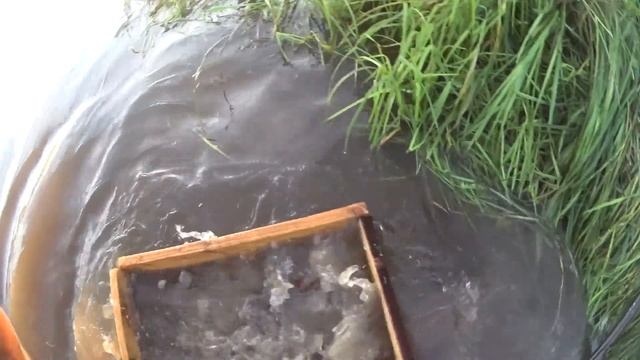 Отмывание денег в реке. смотреть онлайн