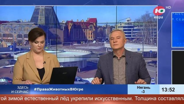 Звериный сервис Севера смотреть онлайн