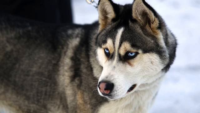 Слушать самую хорошую русскую песню для авто онлайн смотреть онлайн