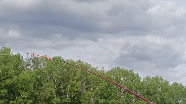 28 июня 2024 г. смотреть онлайн