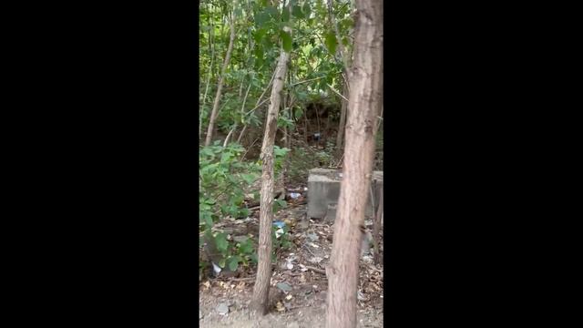 ОТХОДЫ БЕТОННЫХ КОНСТРУКЦИЙ ВО ДВОРЕ ДОМА смотреть онлайн