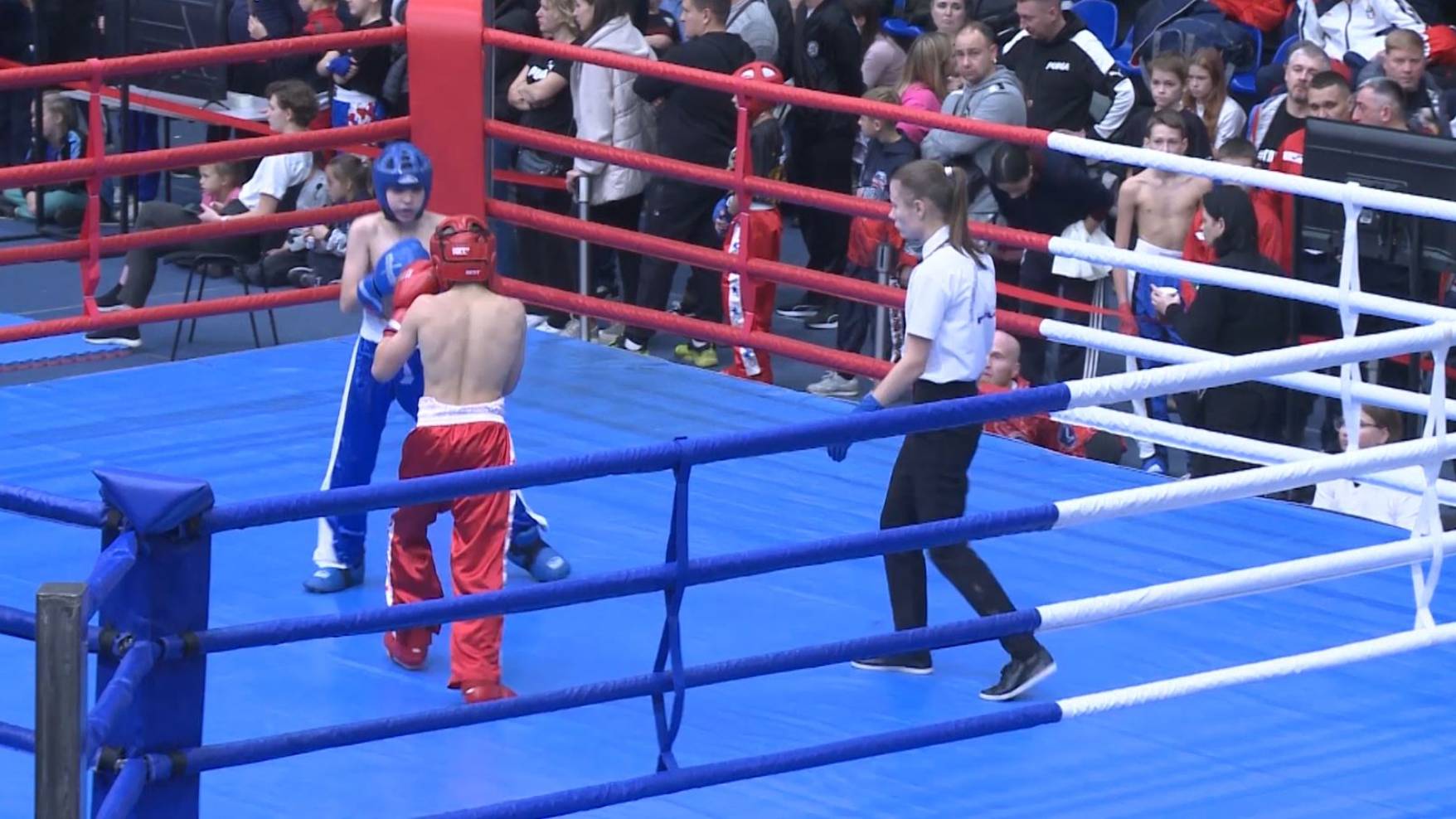 В Ярославле стартовали Всероссийские соревнования по кикбоксингу смотреть онлайн