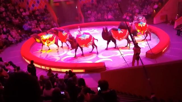 В цирке!31 Января 2021г.(3) смотреть онлайн