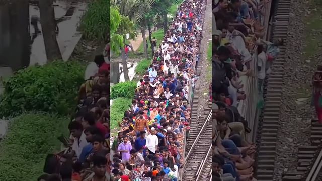 Когда билеты подорожали, а на море хочется))) смотреть онлайн