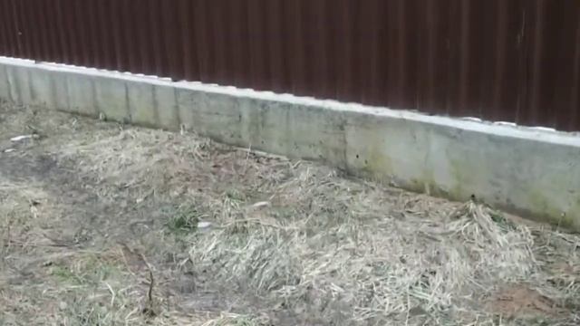 Полигон КПО 