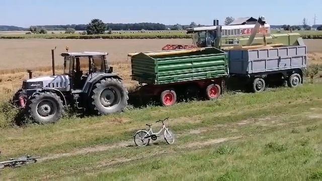 Claas mega 208 kombájn, Lamborghini R смотреть онлайн