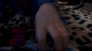 Бременские музыканть на льду