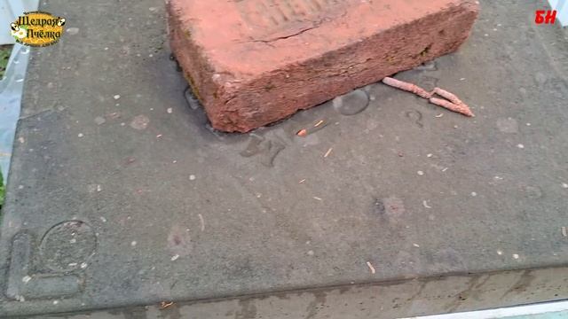 пчеловодство, покраска ульев снова об основном чем красить ульи из ППУ ППС смотреть онлайн