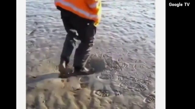 Неньютоновская жидкость QEYRI ADI PALCIQ MUTLEQ BAXIN 2018 смотреть онлайн