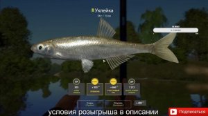 Русская Рыбалка 4. ФАРМИМ МНОГО ДЕНЕГ!!!! РОЗЫГРЫШЬ В ОПИСАНИИ
