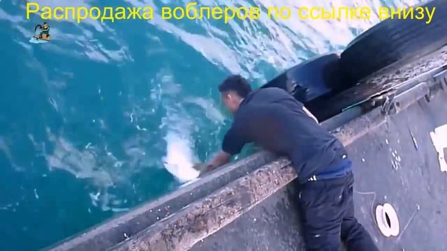 Воблер мегабасс вижн онетен