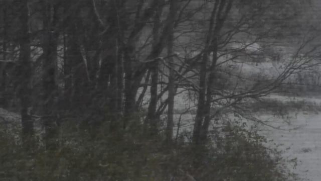 Tchaikovsky - The Nutcracker Suite - Act II, No.15. Final Waltz and Apotheosis смотреть онлайн