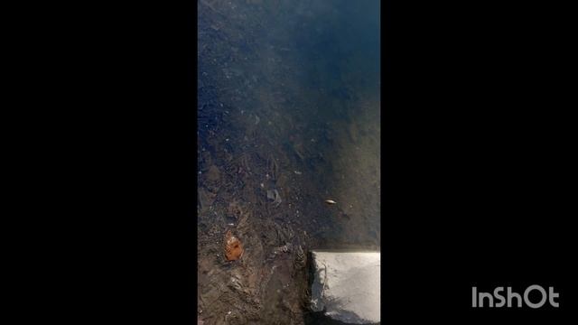 рыбалка река Исеть смотреть онлайн