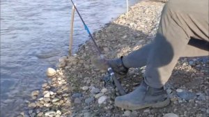 ЛОВЛЮ РЫБУ В РЕКЕ "ТЕРЕК" 3 Февраля