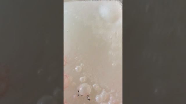 Lavender Lama bath bomb demo #2 смотреть онлайн