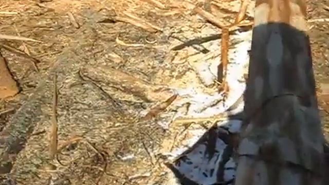 Сборка сруба из бревна и бруса самому своими руками видео смотреть смотреть онлайн