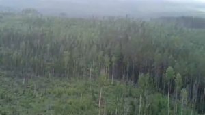 Фильм дорога домой