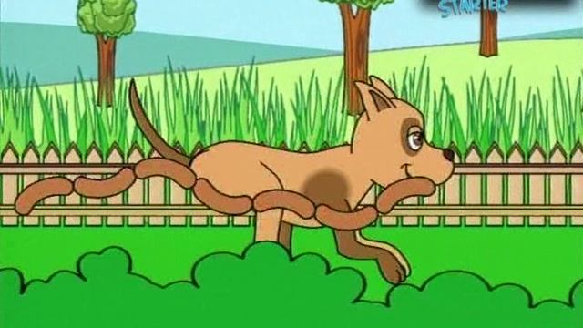 Spotlight Starter My Pets! Урок 3 смотреть онлайн