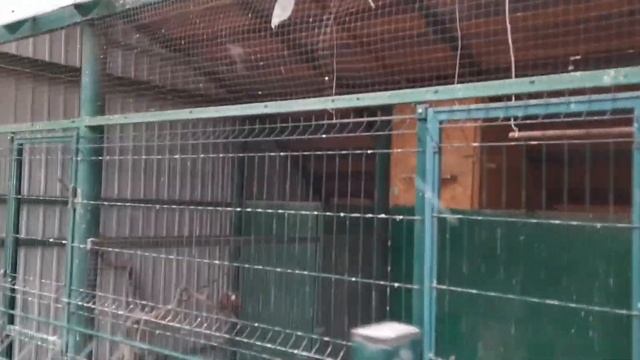 #Как я отдохнул в санатории Солнечный. #Природа,чистый воздух,и здоровье. # смотреть онлайн