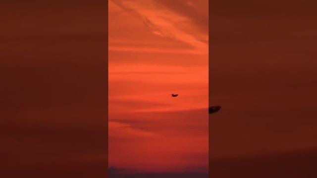 Весенняя охота на гуся лучшие налёты смотреть онлайн