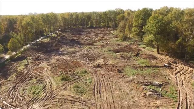 Про макулатуру смотреть онлайн