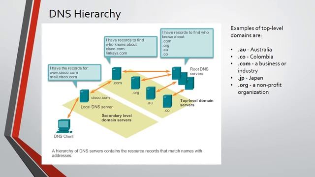 CCNA1v5 Capitulo 10 - Application Layer (201413-2) смотреть онлайн