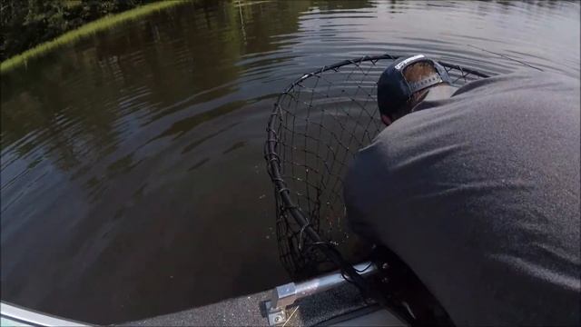 10 Year Old Catches Big Muskie on Spinning Rod!! смотреть онлайн