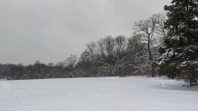 Останкинская башня 15/01/2024 Ботанический сад ВДНХ смотреть онлайн